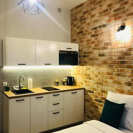 Apartament - Ruska Centrum *